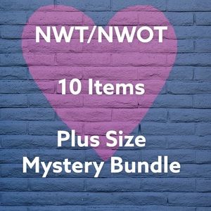 Plus Size / 10 Items 🛍 NWT + NWOT Mystery Bundle